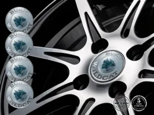 Buick Custom Dome Stickers Limited Cosmic Drift Spectrum